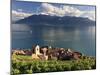 Switzerland, Vaud, Lavaux Vineyards, St; Saphorin Village and Lac Leman / Lake Geneva-Michele Falzone-Mounted Photographic Print