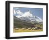 Switzerland, Zermatt, Schwarzsee, Valais Blacknose Sheep with Matterhorn-Jamie And Judy Wild-Framed Photographic Print