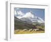 Switzerland, Zermatt, Schwarzsee, Valais Blacknose Sheep with Matterhorn-Jamie And Judy Wild-Framed Photographic Print