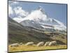 Switzerland, Zermatt, Schwarzsee, Valais Blacknose Sheep with Matterhorn-Jamie And Judy Wild-Mounted Photographic Print