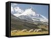 Switzerland, Zermatt, Schwarzsee, Valais Blacknose Sheep with Matterhorn-Jamie And Judy Wild-Framed Stretched Canvas