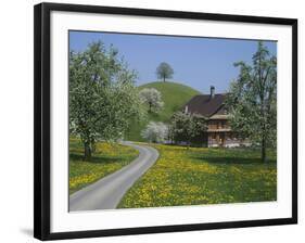 Switzerland, Zug, Road-null-Framed Photographic Print