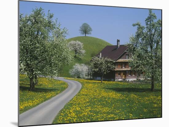 Switzerland, Zug, Road-null-Mounted Photographic Print