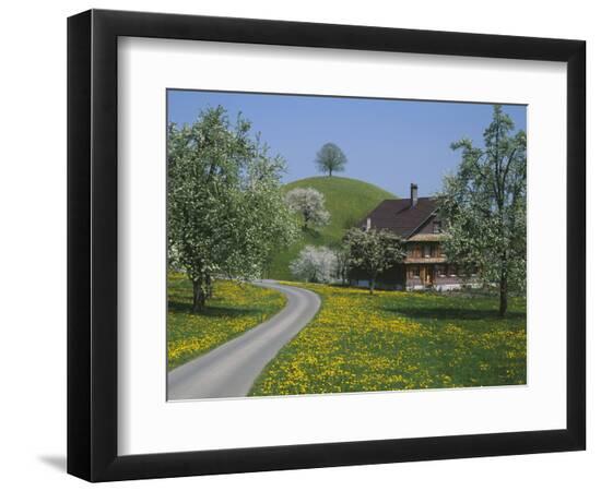 Photographic Print, , large