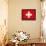 Switzerland-David Bowman-Framed Stretched Canvas displayed on a wall