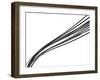 Swoop I-Monika Burkhart-Framed Photographic Print