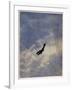 Swooping Down on a Hostile Plane-Christopher Richard Wynne Nevinson-Framed Giclee Print