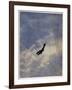 Swooping Down on a Hostile Plane-Christopher Richard Wynne Nevinson-Framed Giclee Print