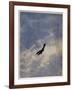 Swooping Down on a Hostile Plane-Christopher Richard Wynne Nevinson-Framed Giclee Print