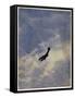 Swooping Down on a Hostile Plane-Christopher Richard Wynne Nevinson-Framed Stretched Canvas