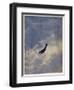 Swooping Down on a Hostile Plane-Christopher Richard Wynne Nevinson-Framed Giclee Print