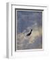 Swooping Down on a Hostile Plane-Christopher Richard Wynne Nevinson-Framed Giclee Print