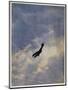Swooping Down on a Hostile Plane-Christopher Richard Wynne Nevinson-Mounted Giclee Print