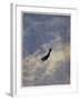 Swooping Down on a Hostile Plane-Christopher Richard Wynne Nevinson-Framed Giclee Print