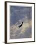 Swooping Down on a Hostile Plane-Christopher Richard Wynne Nevinson-Framed Giclee Print