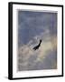 Swooping Down on a Hostile Plane-Christopher Richard Wynne Nevinson-Framed Giclee Print