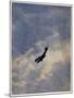 Swooping Down on a Hostile Plane-Christopher Richard Wynne Nevinson-Mounted Giclee Print