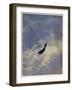 Swooping Down on a Hostile Plane-Christopher Richard Wynne Nevinson-Framed Giclee Print