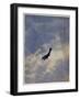 Swooping Down on a Hostile Plane-Christopher Richard Wynne Nevinson-Framed Giclee Print