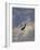 Swooping Down on a Hostile Plane-Christopher Richard Wynne Nevinson-Framed Giclee Print