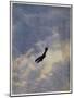 Swooping Down on a Hostile Plane-Christopher Richard Wynne Nevinson-Mounted Giclee Print