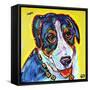 Swoosh Dog-MADdogART-Framed Stretched Canvas