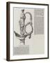 Sword Presented to General La Marmora-null-Framed Giclee Print