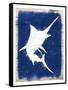 Swordfish Blast 1-Marcus Prime-Framed Stretched Canvas