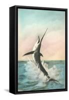 Swordfish on the Line-null-Framed Stretched Canvas