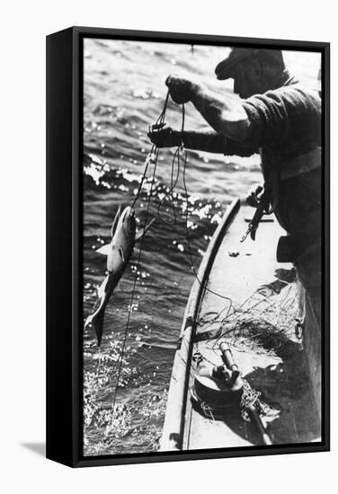 Swordfishing-null-Framed Stretched Canvas