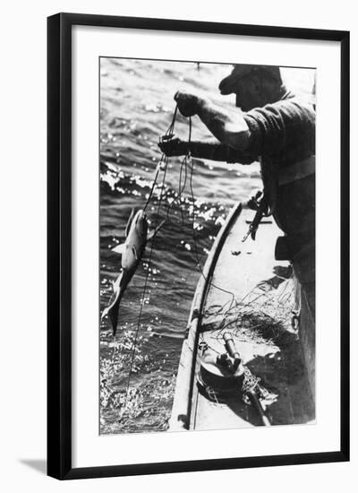 Swordfishing-null-Framed Photographic Print