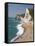 Swyre Head Beach, Dorset, England, United Kingdom, Europe-Rainford Roy-Framed Stretched Canvas