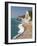 Swyre Head Beach, Dorset, England, United Kingdom, Europe-Rainford Roy-Framed Photographic Print