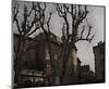 Sycamore, Aix-en-Provence, France-Nicolas Hugo-Mounted Giclee Print