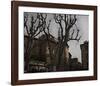 Sycamore, Aix-en-Provence, France-Nicolas Hugo-Framed Giclee Print