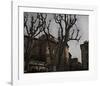 Sycamore, Aix-en-Provence, France-Nicolas Hugo-Framed Giclee Print