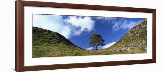 Sycamore Gap, Hadrian's Wall, Near Hexham, Northumberland, England, United Kingdom, Europe-Lee Frost-Framed Photographic Print