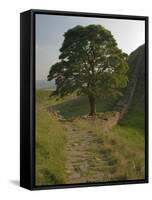 Sycamore Gap, Hadrian's Wall, Nothumberland-James Emmerson-Framed Stretched Canvas