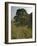 Sycamore Gap, Hadrian's Wall, Nothumberland-James Emmerson-Framed Photographic Print