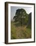 Sycamore Gap, Hadrian's Wall, Nothumberland-James Emmerson-Framed Photographic Print