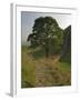 Sycamore Gap, Hadrian's Wall, Nothumberland-James Emmerson-Framed Photographic Print