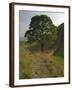 Sycamore Gap, Hadrian's Wall, Nothumberland-James Emmerson-Framed Photographic Print