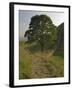 Sycamore Gap, Hadrian's Wall, Nothumberland-James Emmerson-Framed Photographic Print