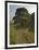 Sycamore Gap, Hadrian's Wall, Nothumberland-James Emmerson-Framed Photographic Print