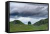 Sycamore Gap on Hadrian's Wall, Storm Sky, from A6318 Between Housesteads Fort and Greenhead,…-null-Framed Stretched Canvas