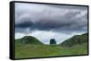 Sycamore Gap on Hadrian's Wall, Storm Sky, from A6318 Between Housesteads Fort and Greenhead,…-null-Framed Stretched Canvas