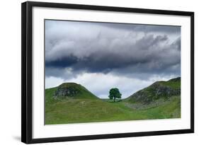 Sycamore Gap on Hadrian's Wall, Storm Sky, from A6318 Between Housesteads Fort and Greenhead,…-null-Framed Photographic Print