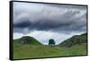 Sycamore Gap on Hadrian's Wall, Storm Sky, from A6318 Between Housesteads Fort and Greenhead,…-null-Framed Stretched Canvas
