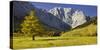 Sycamore Maple, Dreizinkenspitze, Gro§er Ahornboden, Engalm, Karwendel, Tyrol, Austria-Rainer Mirau-Stretched Canvas