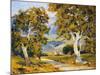 Sycamore Valley-Joane Cromwell-Mounted Art Print